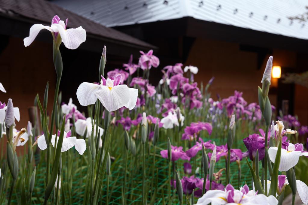 Hotel Satonoyu Waraku 13 Years Or Older Minamioguni Zewnętrze zdjęcie
